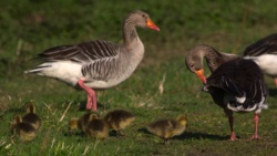 30b42159-cb8a-4c18-ae91-7986baa4bd0a