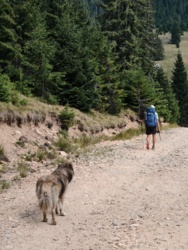 ec9ddca3-1bf7-4af4-a035-fddbe18fbbde