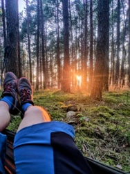 3f8aa421-5fc7-4f2c-a7de-2d02abaf8f11