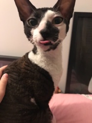 4534f460-5cda-4fcd-9448-6c9311cee17f