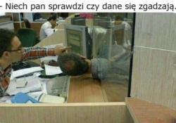 437b791b-d87d-427a-a5f5-35a585dde871