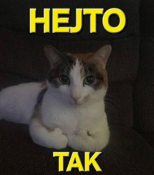 4b0be359-90d5-4b82-a4fe-c8f257a67d64