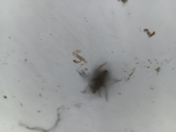 c01a9628-e604-415d-9326-79ed311a55f0