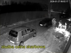 5208135f-aa5d-4023-b5a7-a02167697083