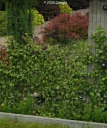 ecc5aa05-fc74-4027-b488-7c4e75e27b88