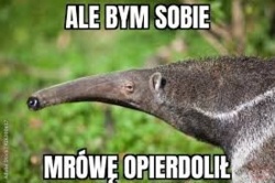 3231c2c1-e176-4c1f-bb65-96d9f2d9750a