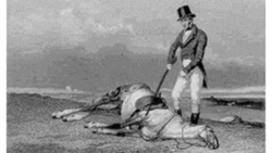 ce495781-36c7-44d4-911b-d88d6d9be6e3