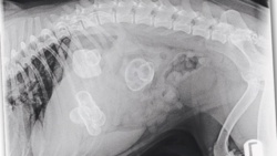 be2751a8-de9c-4613-adab-09c75fe67a5c