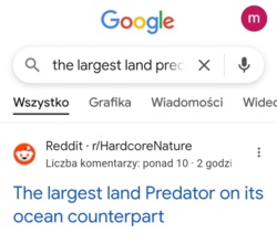 f8e19e03-4842-48f7-ab14-5c4d26434913