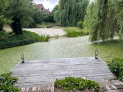 170eab8e-cb0b-452c-82db-80d94cb7b12f