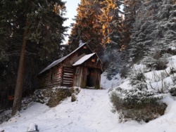 c67f1995-25a3-4cc5-94df-3765a75e2bb3