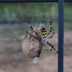 7fed38a8-69d1-4aa3-9844-a5d22d467d07