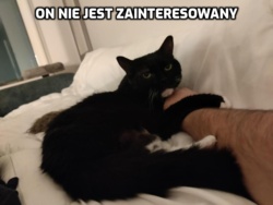 0bc53124-089e-44db-9177-59f4f09ff7cd