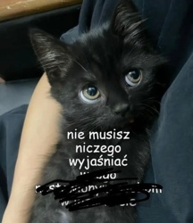 c25f3525-5730-468b-89e4-edf64530db8d