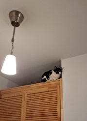 2ff884ab-374d-4392-a972-f5bac26057b9