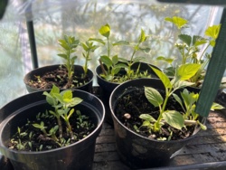 253a96af-50d1-49fd-93a6-3f2291aa0ef9