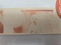 a087a654-d0e4-4000-b44a-14f90b62b506