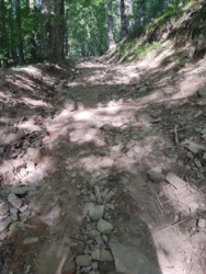 350e9364-19bb-4c4b-bd8e-3dc1852aef75