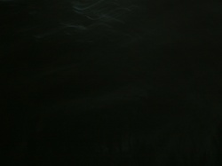 a99d5f28-db20-454b-beca-30a7235118d2