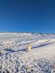 00ef74f2-36e1-403a-92f2-7048e094cfe0