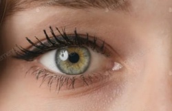 f319c7a7-2b5d-4910-97b4-806ca34e7ddb