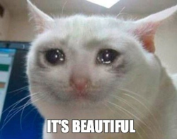 2364057d-b84c-4dab-bb14-70c609c0eda4