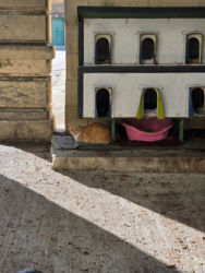 cdc5acc4-af8a-41d5-929f-2041790776be