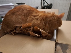 7795b1b6-85ec-445f-b6dd-da636975ae7d