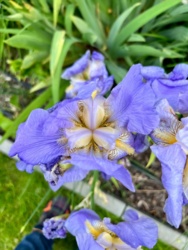 167ee456-2649-4457-8a65-348ca09b603e