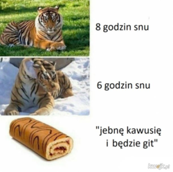 dac1c2f8-8677-4a37-801d-dddd12b3ce1e