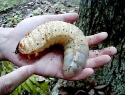 12a5deca-a303-4ea6-80c6-68046c395fb7