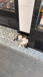 4d4cb83f-7e85-4de6-9e76-c5f600ee2732