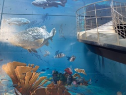 65e6e058-3b4a-4c31-aad3-cca747a26a0e