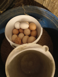 3afe4e40-4ab9-47fe-9a6a-4349eb3ea7b1