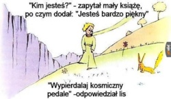 a52aa98b-1a35-4386-9364-0aa739c70438