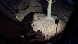 e6278726-0b50-4216-b90e-5cd8c536207b