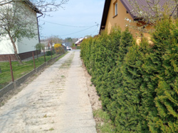 6cd5c8cf-4e2d-499e-ad2a-e72a23d0920b