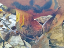 498e99b1-d888-4386-bfea-dcac28e72134