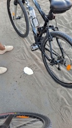 412fa49e-2780-4502-8807-1733bff5f340