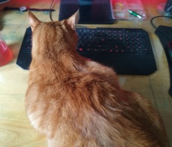 01b9952d-2e09-451f-bf2b-7707c290679a