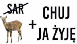 4dfd771f-0351-41dd-8458-c03890daa7f4