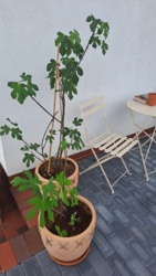 11e1b78f-577d-4e0b-951d-7b48769f126d