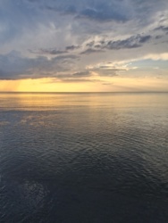 b7bbeb58-271c-445b-aee0-328846e3f8da