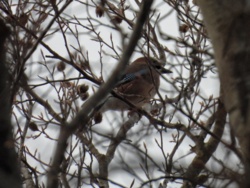 f286724b-d599-4c5b-8e0c-0be5e1f8cb6c