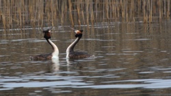 a24cc323-28d4-4196-afd4-98d162006ce9