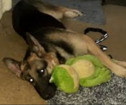 49e58cd2-98ea-4442-ba88-274b2a81eb17