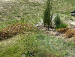 cfcaff5a-d5ce-491d-9771-0f25bd8857d2