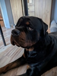 94e5fec8-b7b5-4336-a08a-21cbc42860b7