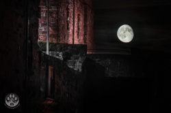 31c7d356-766f-4c32-a3a5-6329e9cc56b1