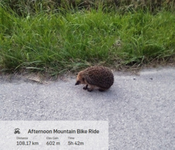 896c25a4-4083-4441-9fed-0d2cb23c7e9a